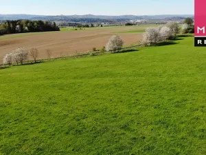 Prodej louky, Ostrov, 177325 m2