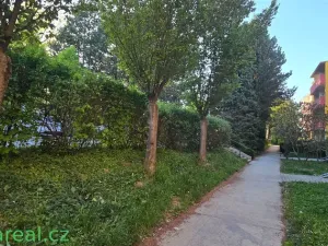Pronájem bytu 1+1, Brno, Laštůvkova, 36 m2