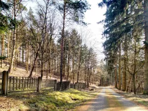 Prodej chaty, Kladruby - Hřešihlavy, 86 m2