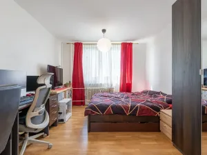 Prodej bytu 1+kk, Brno, Novoměstská, 30 m2