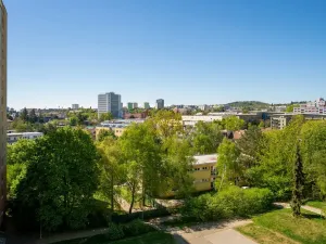 Prodej bytu 1+kk, Brno, Novoměstská, 30 m2