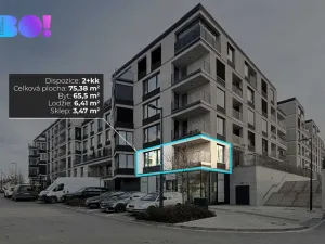 Pronájem kanceláře, Ostrava, F. X. Riepla, 75 m2