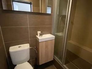 Pronájem bytu 1+kk, Brno, Havránkova, 30 m2