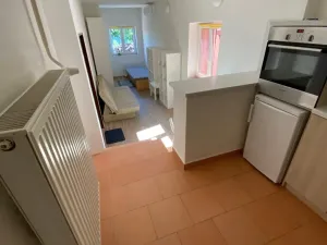Pronájem bytu 1+kk, Brno, Havránkova, 30 m2
