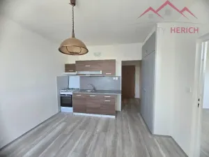 Prodej bytu 1+1, Chomutov, Písečná, 36 m2