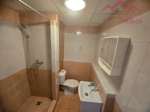 Prodej bytu 1+1, Chomutov, Písečná, 36 m2