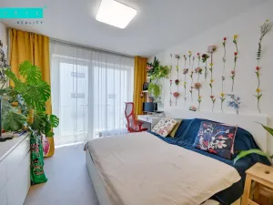 Pronájem bytu 1+kk, Olomouc - Nové Sady, Rokycanova, 37 m2