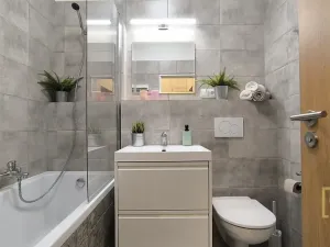 Pronájem bytu 2+kk, Brno - Brno-město, Jezuitská, 41 m2