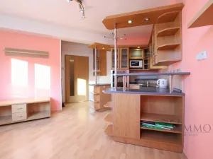Pronájem bytu 1+kk, České Budějovice - České Budějovice 6, Rudolfovská tř., 35 m2