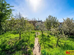 Prodej rodinného domu, Vyškov - Vyškov-Předměstí, 149 m2