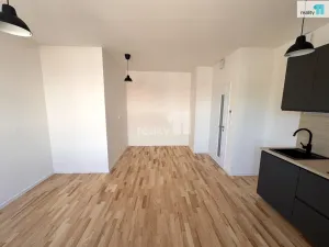 Pronájem bytu 1+kk, Dobřichovice, Pražská, 34 m2