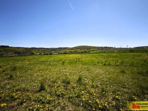 Prodej zahrady, Česká, 658 m2