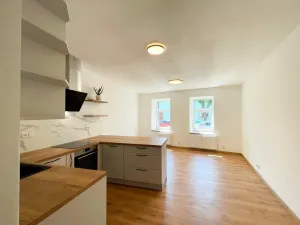 Pronájem bytu 1+kk, Olomouc - Hodolany, Elišky Krásnohorské, 34 m2