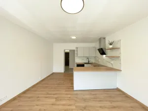 Pronájem bytu 1+kk, Olomouc - Hodolany, Elišky Krásnohorské, 34 m2