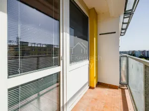 Prodej bytu 2+1, Hradec Králové - Moravské Předměstí, Štefánikova, 61 m2