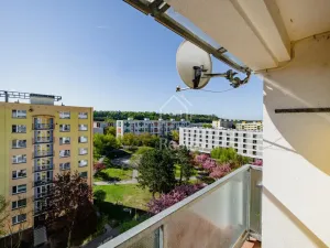 Prodej bytu 2+1, Hradec Králové - Moravské Předměstí, Štefánikova, 61 m2