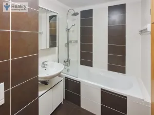 Pronájem bytu 2+kk, Plzeň - Východní Předměstí, Sladkovského, 55 m2
