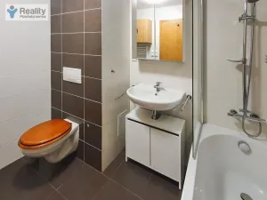 Pronájem bytu 2+kk, Plzeň - Východní Předměstí, Sladkovského, 55 m2
