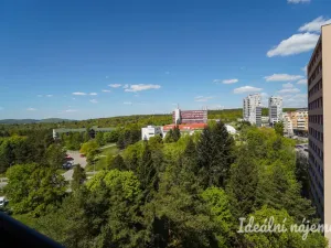 Pronájem bytu 3+1, Brno - Lesná, Haškova, 67 m2