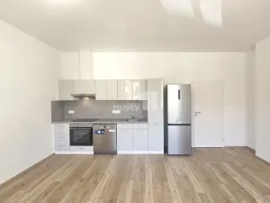 Pronájem bytu 1+kk, Čáslav, Pražská, 36 m2