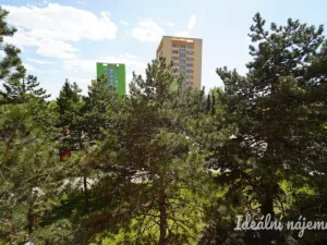 Pronájem bytu 1+1, Brno - Řečkovice, Žitná, 28 m2