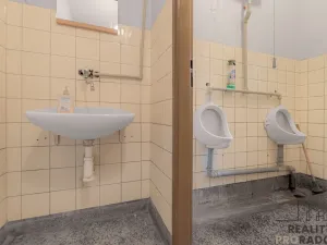 Prodej výrobních prostor, Moravský Krumlov, Pod Leskounem, 14738 m2