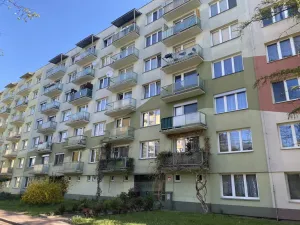 Pronájem bytu 1+kk, České Budějovice - České Budějovice 3, Puklicova, 20 m2