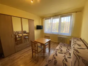 Pronájem bytu 1+kk, České Budějovice - České Budějovice 3, Puklicova, 20 m2