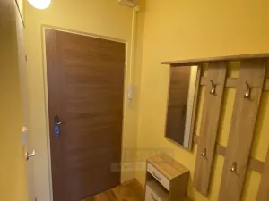 Pronájem bytu 1+kk, České Budějovice - České Budějovice 3, Puklicova, 20 m2