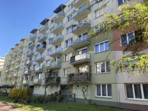 Pronájem bytu 1+kk, České Budějovice - České Budějovice 3, Puklicova, 20 m2