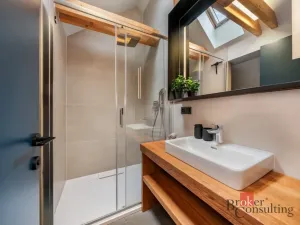 Prodej ubytování, Harrachov - Nový Svět, 223 m2