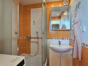 Pronájem bytu 1+1, České Budějovice - České Budějovice 2, 41 m2