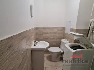 Pronájem bytu 1+kk, Opava - Předměstí, Slámova, 22 m2
