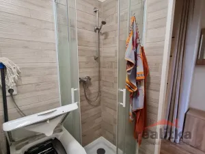 Pronájem bytu 1+kk, Opava - Předměstí, Slámova, 22 m2
