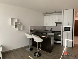 Pronájem bytu 1+kk, Ostrava - Moravská Ostrava, Gen. Píky, 26 m2