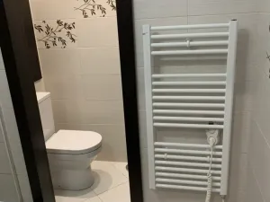 Pronájem bytu 1+kk, Ostrava - Moravská Ostrava, Gen. Píky, 26 m2