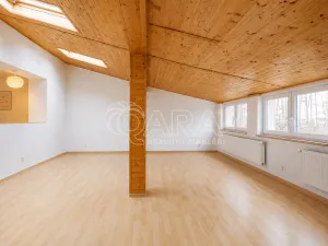 Pronájem komerční nemovitosti, Hostomice, Tyršovo náměstí, 290 m2