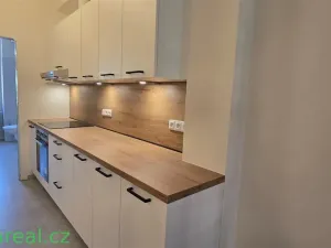 Pronájem bytu 3+kk, Brno, Veveří, 74 m2