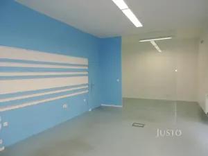 Pronájem obchodního prostoru, Zábřeh, Žižkova, 75 m2