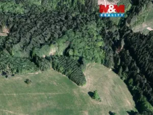 Prodej lesa, Valašská Senice, 8743 m2