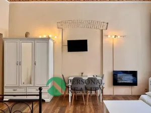 Pronájem ubytování, Praha - Karlín, Křižíkova, 540 m2