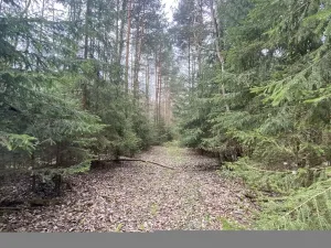 Prodej pozemku, Volfířov - Brandlín, 5958 m2