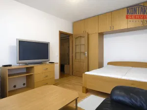 Pronájem bytu 1+1, České Budějovice - České Budějovice 2, Dubenská, 33 m2