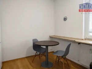 Pronájem bytu 1+1, České Budějovice - České Budějovice 2, Dubenská, 33 m2