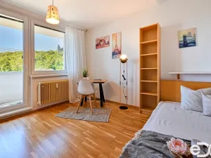 Pronájem bytu 1+1, Brno - Žabovřesky, Vychodilova, 42 m2