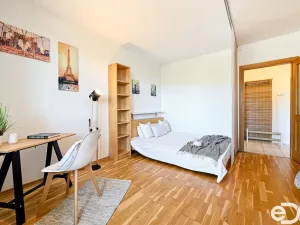 Pronájem bytu 1+1, Brno - Žabovřesky, Vychodilova, 42 m2