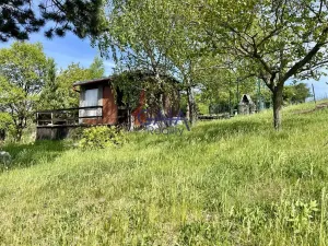 Prodej zahrady, Bzenec, 4488 m2