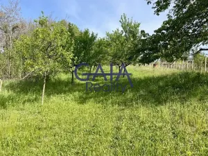 Prodej zahrady, Bzenec, 4488 m2