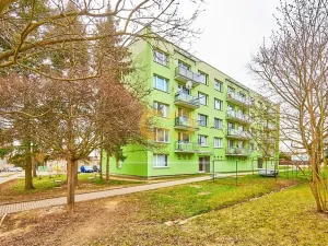 Prodej bytu 2+1, Vodňany, Smetanova, 60 m2