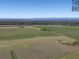 Prodej komerčního pozemku, Horní Jelení, 25556 m2
